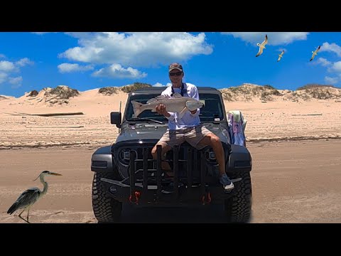 Big REDFISH on a Golden Spoon surf fishing - Padre Island National Seashore PINS