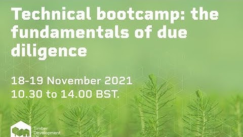Technical Bootcamp - The Fundamentals of Due Diligence (part 1)