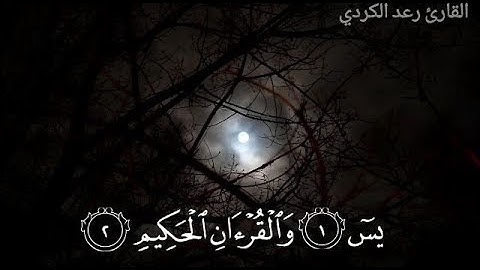 "إنَّا نحنُ نُحيِي الموتى ونكتُبُ ما قدَّمُوا وآثارَهُمْ" تلاوة خاشعة من سورة يس - القارئ رعد الكردي