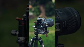 Canon 200d  photoshoot with different look india edit dslrcamera photoshoot dslr photo