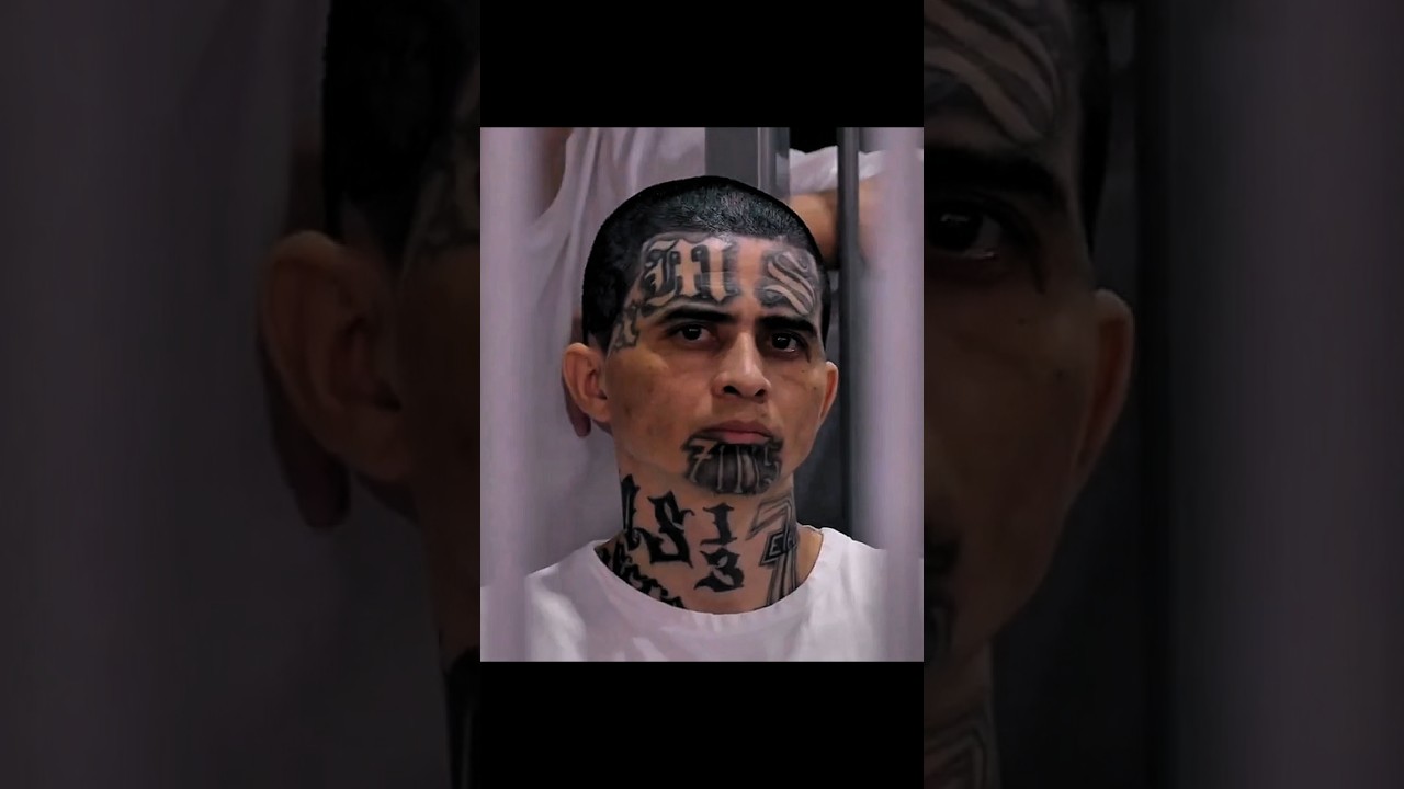 MS13 Gang Arrest 10K People