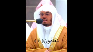 تلاوة خاشعة ومميزة لسورة التكاثر كاملة بصوت الشيخ ياسر الدوسري ❤️😌