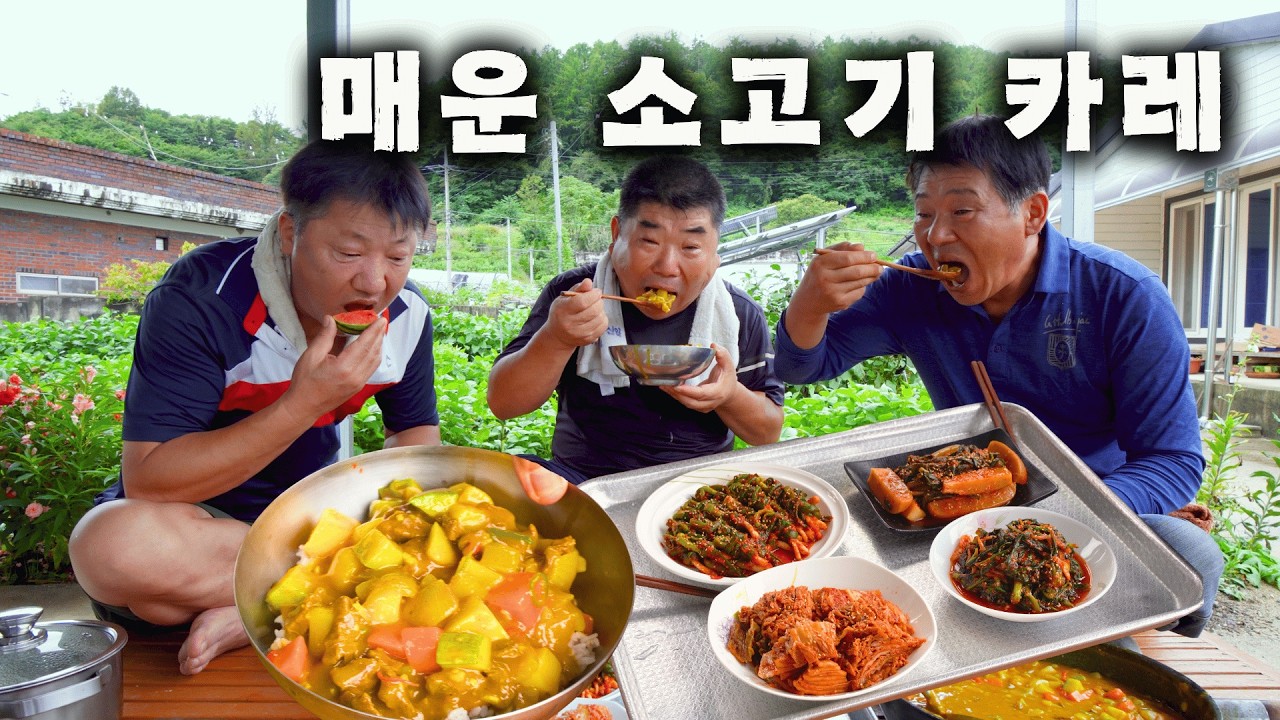 [시골먹방] 첫째가 소고기 듬뿍 넣어 만든 매운소고기카레 먹방 [Spicy curry and kimchi] MUKBANG/EATING SHOW