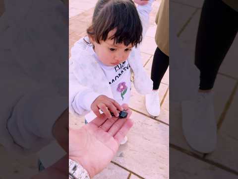 كيوته ماشاءالله فديو خليك تبتسم بدون شعور     