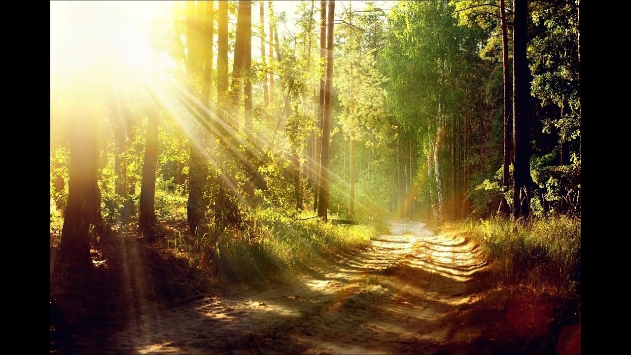 Édenkert | Cover Ének: Rebeka K. Bobanj   Zongora: Méri Péter