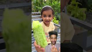 Bhai ko Ullu Banaya🥒🫚 "Incredible Top Gadgets and Simple Smart Tools Mercedes Built Cool Items!