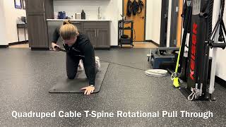 Quadruped Cable T-Spine Rotational Pull Through