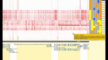 WashU genome browser: Genomic juxtaposition