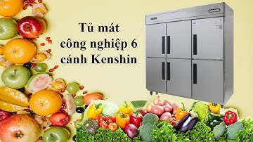 Tủ Mát Công Nghiệp 6 Cánh Kenshin | Tủ Mát 6 Cánh Giá Tốt - Chất Lượng