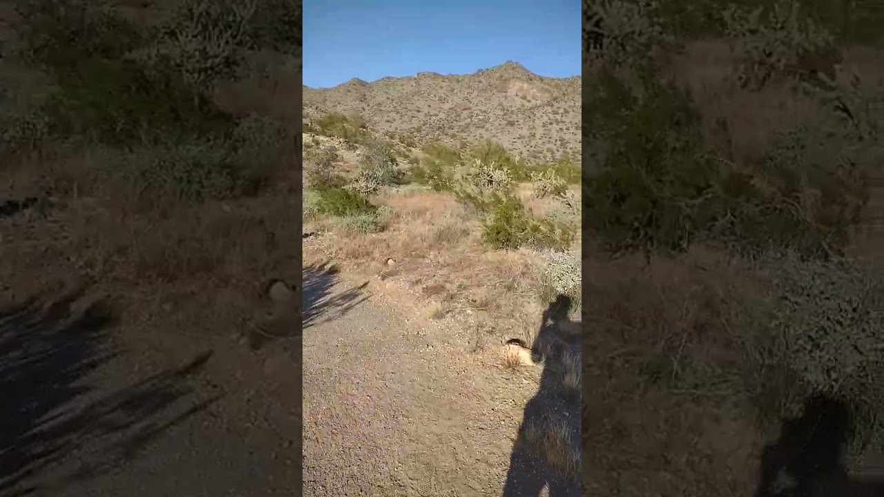 wheelchair accessible hiking trails at skyline regional park