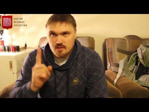 Что делать при встрече с волком
