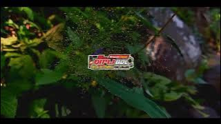 BASS HOREG|DJ jangan nget ngetan