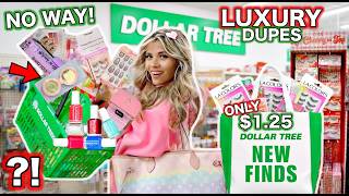 Celebrity NO WAY! These $1.25 Dollar Tree Luxury Dupes Look EXPENSIVE 😱 (New 2026 Finds) HUGE SHOPPING SPREE! Net Worth