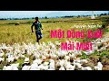 Một Dòng Xuôi Mải Miết - Nguyễn Ngọc Tư | Đọc: Huỳnh Minh Hiền