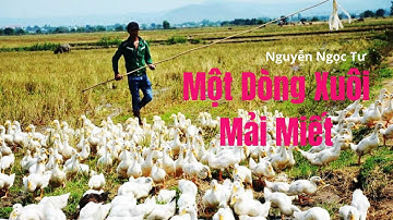Một Dòng Xuôi Mải Miết - Nguyễn Ngọc Tư | Đọc: Huỳnh Minh Hiền