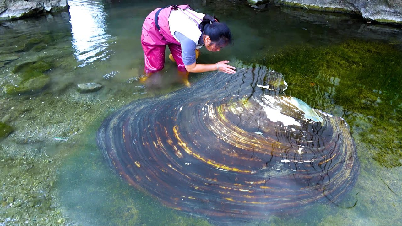 Today's trip went very smoothly, with all the clams and pearls sold out