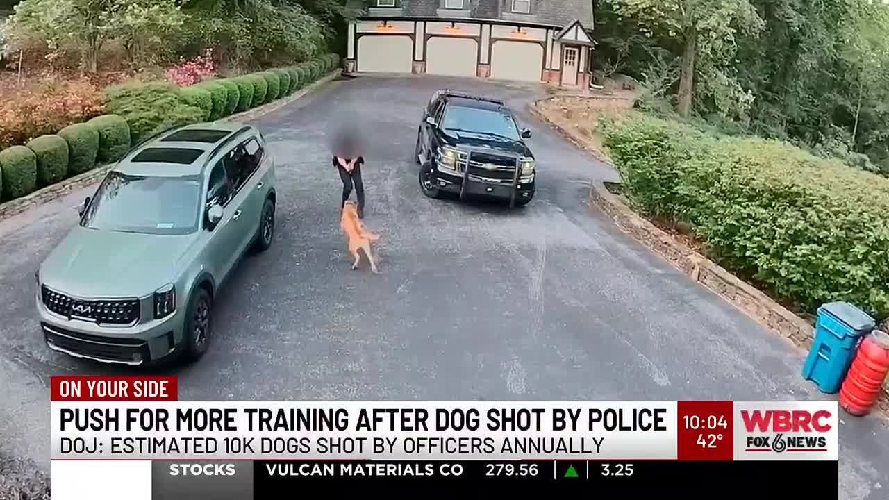 Push for more training after dog shot by police - DOJ: Estimated 10K dogs shot by officers annual...