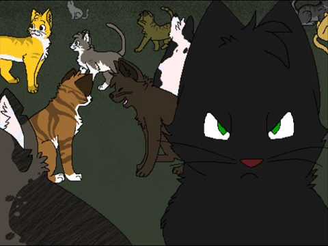 Hollyleaf - Sober (Warriors AMV)