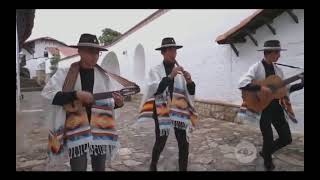 Aparecí en la voz kids