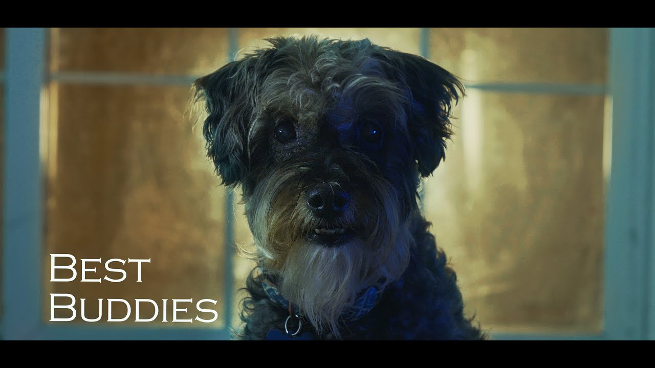 Best Buddies short film YouTube