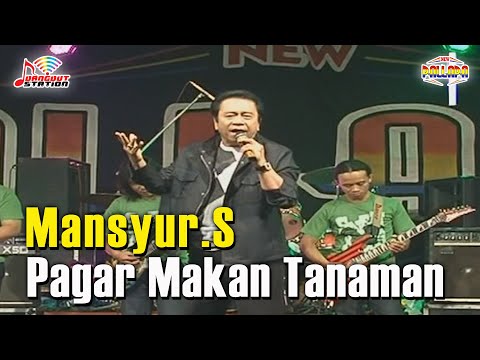 mansur s di panggung palapa membawakan lagu (sejengkal tanah)