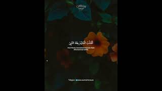 Download Lagu Sholawat al qalbu mutayam MP3