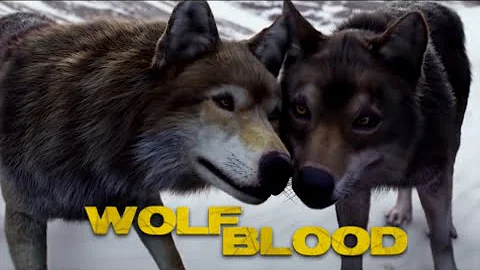 Why is Maddy not in wolfblood Season 3?