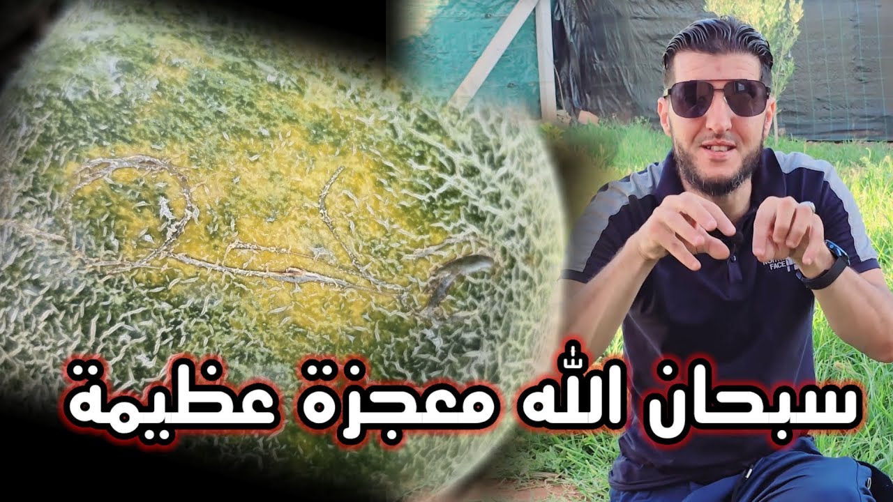 عاجل محمد بويعماذ  وجدة معجزة عظيمة ..