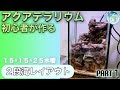初心者が15cmH I水槽で滝のあるアクアテラレイアウト挑戦