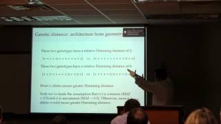 Steve Hsu talk on the architecture of intelligence
