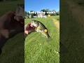 Forgot to hit record 😔 #firstvideo #fishing