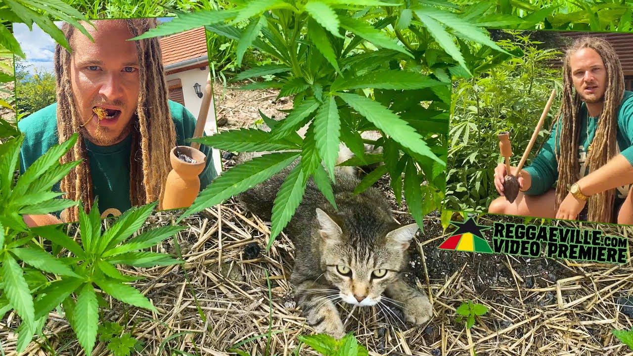 Deliman - Till The Soil [Official Video 2021]