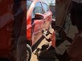 SMS Car cafe mo.9270533134. #car #cars #viral #vuralvideo #carlover #carshorts