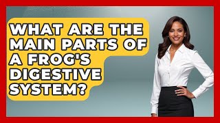 What Are The Main Parts Of A Frog's Digestive System? - Reptilian Wonders