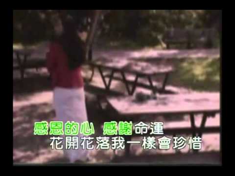 感恩的心 8.mp4