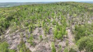 80 Acres in Greene NY - Chenango County