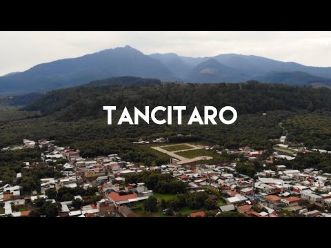 ¿De dónde viene el aguacate que comemos?  - Tancítaro, Michoacán, la capital mundial del aguacate.