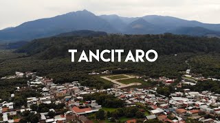 Where does the avocado we eat come from?  Tancítaro, Michoacán, world capital of avocado.