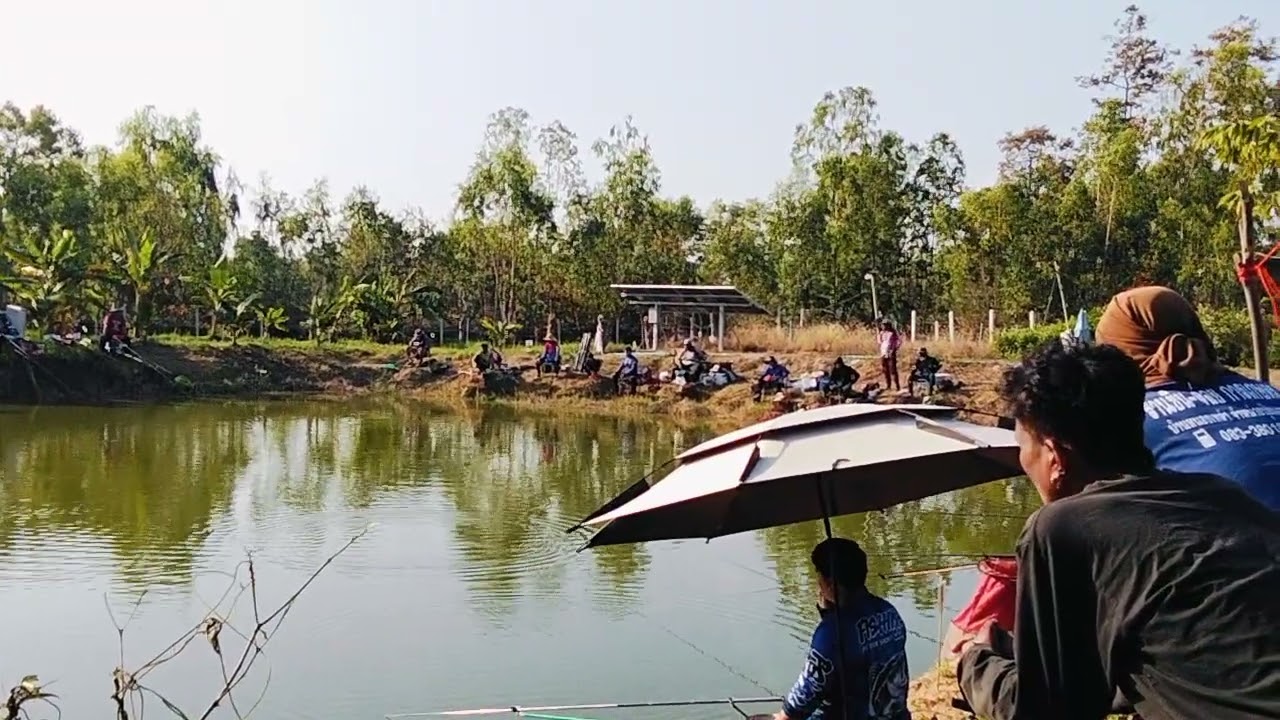 ปลาไซส์งามๆสวยๆบัตรราคา 350 บาท