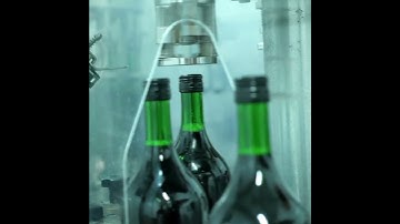 Removal torque of screw-cap Stelvin® closure