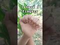 July 26 2025 Fingerchallenge Fypシ Viral Shorts July 26 2025 Fingerchallenge Fypシ Viral Shorts