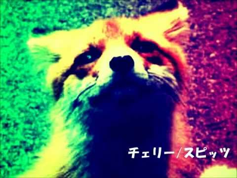 チェリー/スピッツ