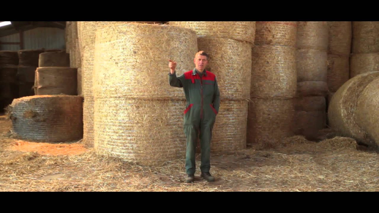 DEPHY cereales bien protegees moins de phyto