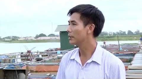 Xây dựng Nông thôn mới tại Bắc Ninh Ứng dụng công nghệ cao trong sản xuất nông nghiệp để xây dựng nô