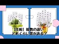 【３本立ち大きさ比較】18輪～45輪までの胡蝶蘭を並べました（前半）