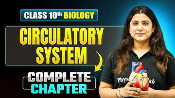 CIRCULATORY SYSTEM Complete Chapter | ICSE Class 10 Biology Chapter 7
