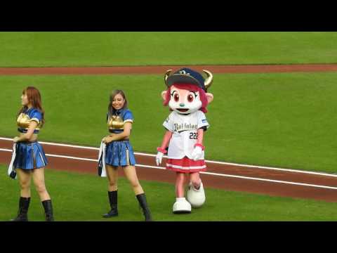 2017.05.25/神戸/オリックスvs楽天/オリックススタメン選手送り出し(BsGirls)