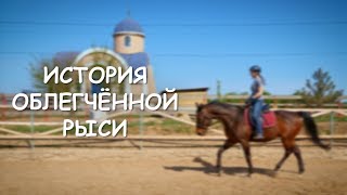 История облегчённой рыси