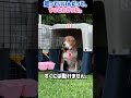 走っていいんだって、やっとわかった。