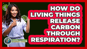 How Do Living Things Release Carbon Through Respiration?